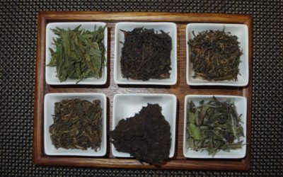 Les six familles, découverte du thé chinois